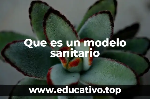 Que es un modelo sanitario