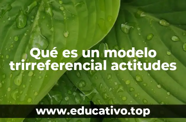 Qué es un modelo trirreferencial actitudes