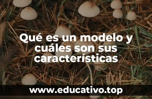Qué es un modelo y cuáles son sus características