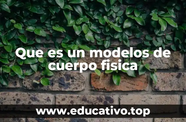 Que es un modelos de cuerpo fisica
