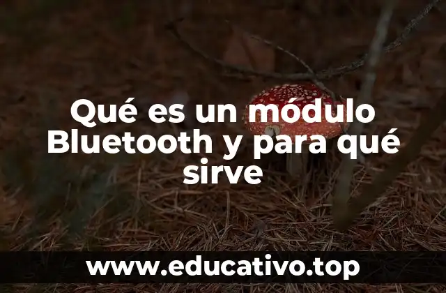 La importancia de la conectividad inalámbrica en la era digital