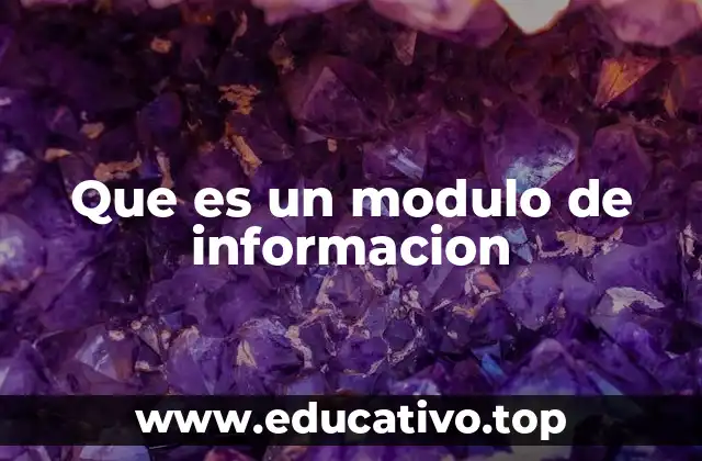 Que es un modulo de informacion