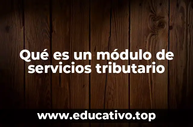 Qué es un módulo de servicios tributario