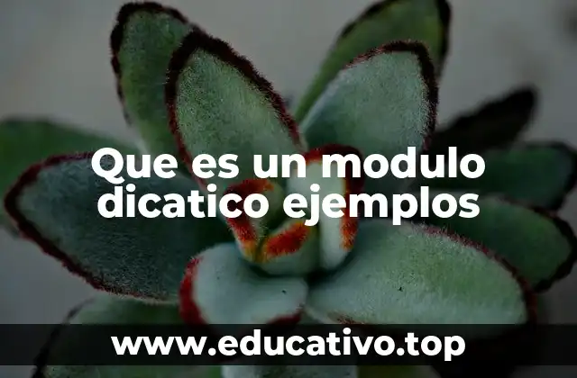 Que es un modulo dicatico ejemplos