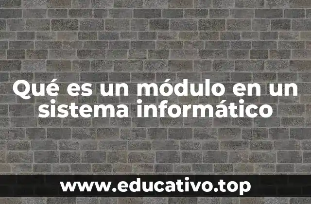 Qué es un módulo en un sistema informático