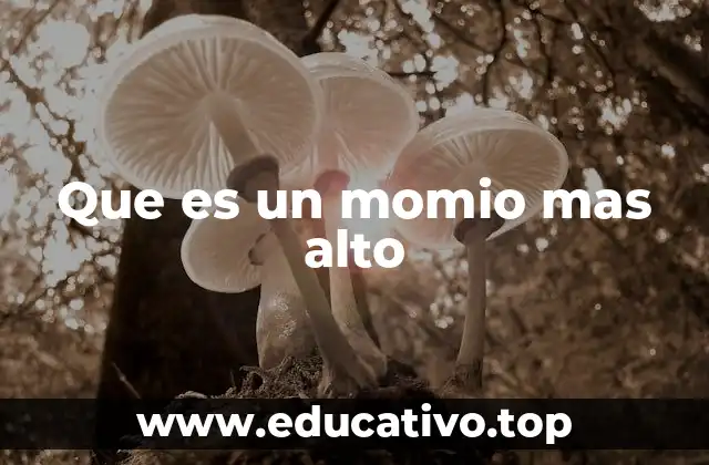 Que es un momio mas alto