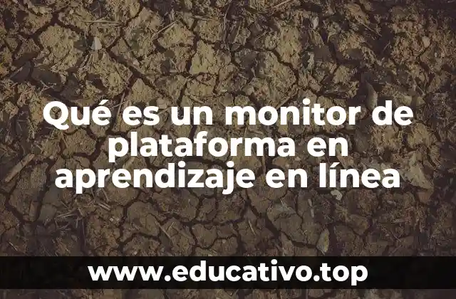 El rol del monitor en el ecosistema educativo digital