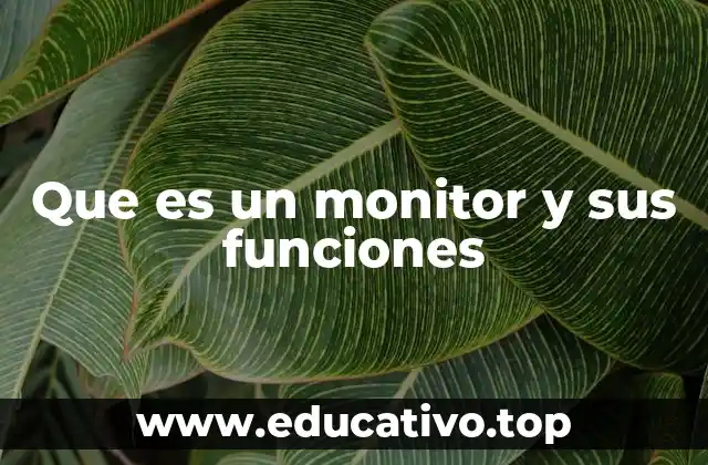 Que es un monitor y sus funciones