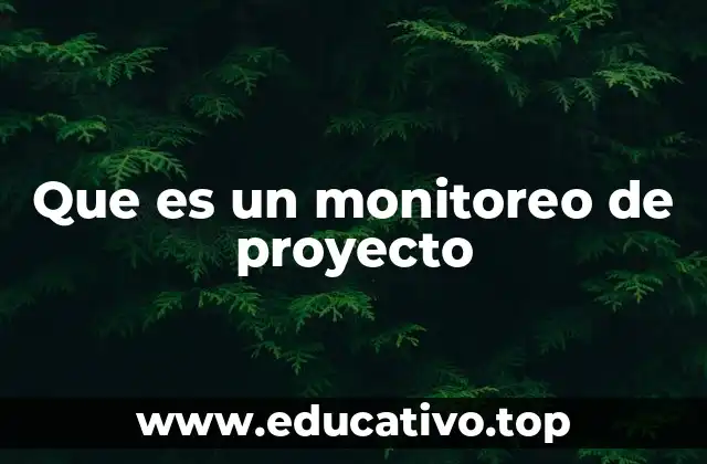 Que es un monitoreo de proyecto
