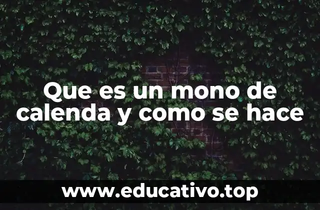 Que es un mono de calenda y como se hace