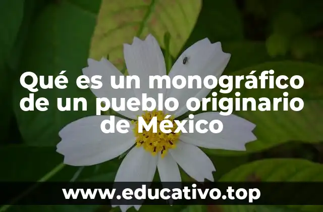 Qué es un monográfico de un pueblo originario de México