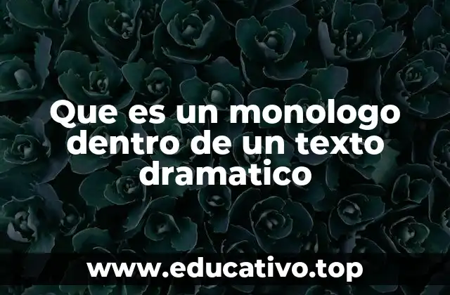 Que es un monologo dentro de un texto dramatico
