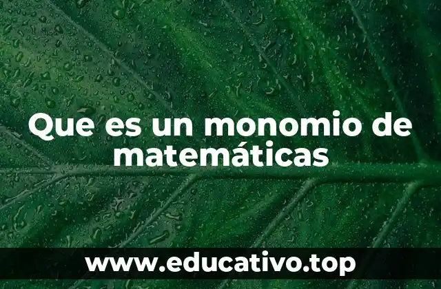 Que es un monomio de matemáticas