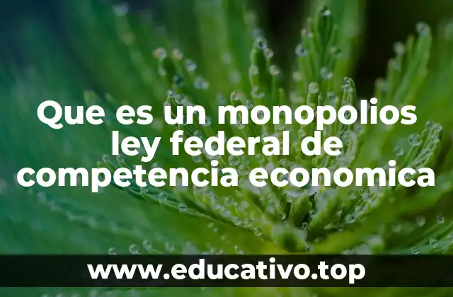 Que es un monopolios ley federal de competencia economica