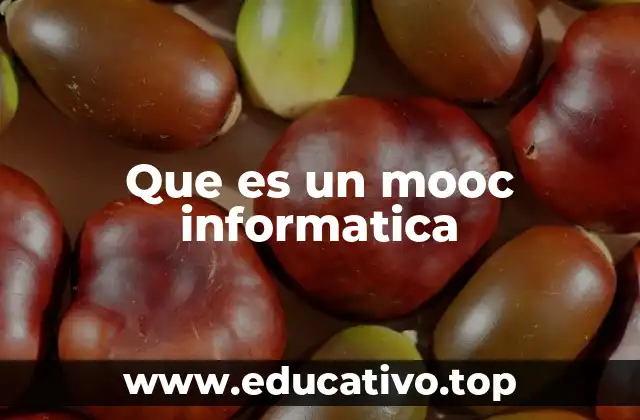 Que es un mooc informatica