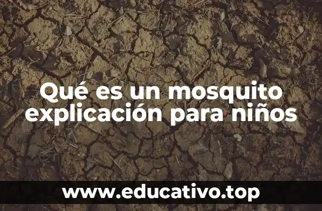 Qué es un mosquito explicación para niños