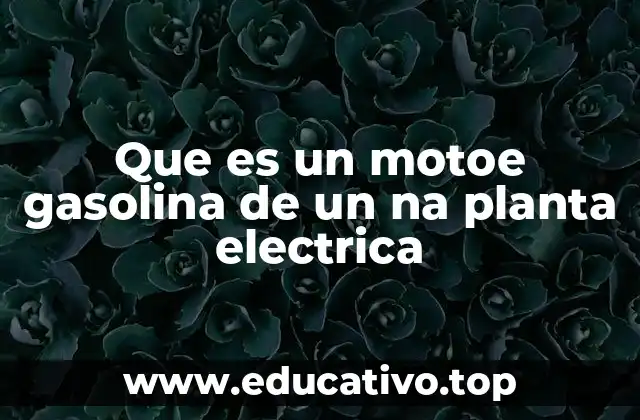 Que es un motoe gasolina de un na planta electrica