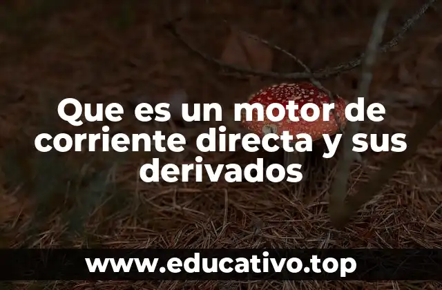 Que es un motor de corriente directa y sus derivados