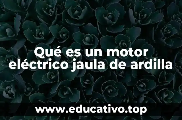 Componentes y funcionamiento de un motor eléctrico de inducción