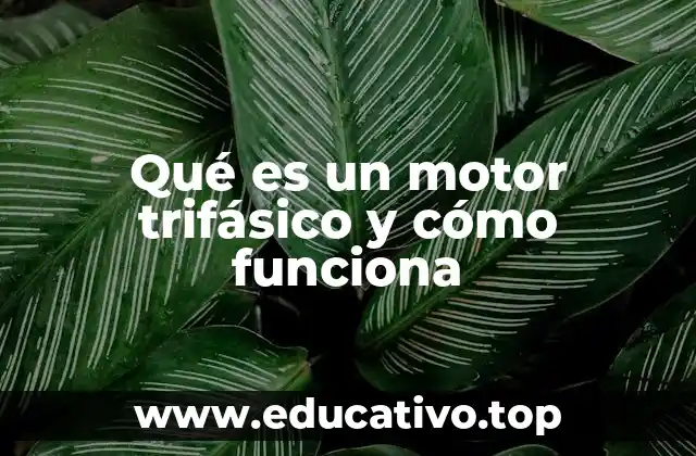 Qué es un motor trifásico y cómo funciona