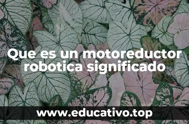 Que es un motoreductor robotica significado
