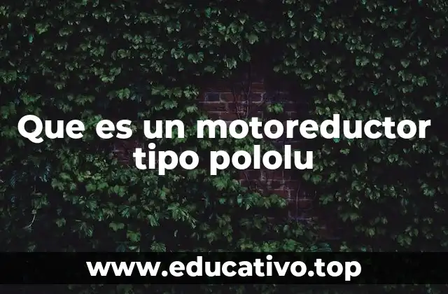 Que es un motoreductor tipo pololu