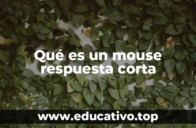 Qué es un mouse respuesta corta