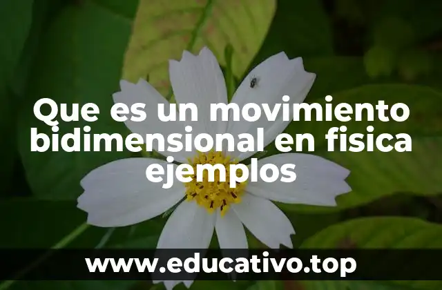 Que es un movimiento bidimensional en fisica ejemplos