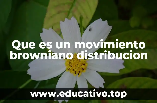 Que es un movimiento browniano distribucion