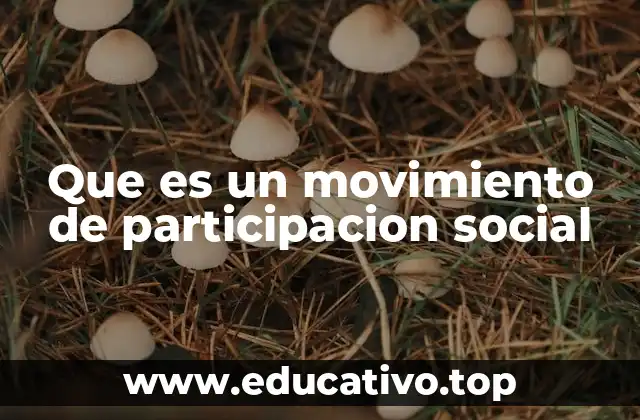 Que es un movimiento de participacion social