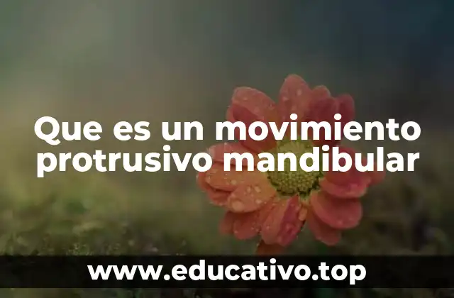Que es un movimiento protrusivo mandibular