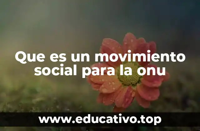 Que es un movimiento social para la onu