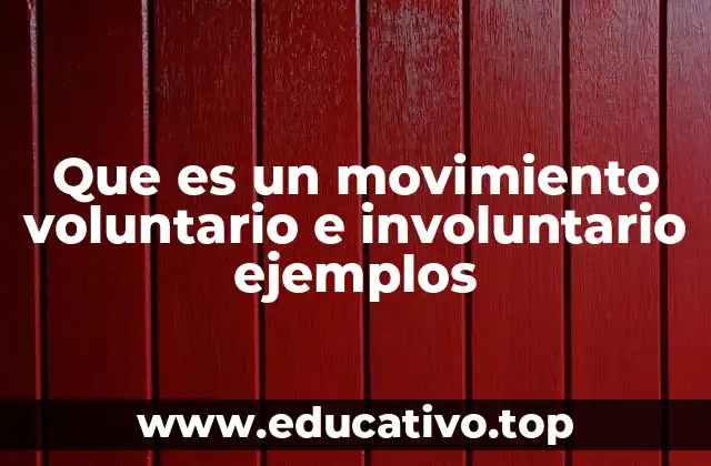 Que es un movimiento voluntario e involuntario ejemplos