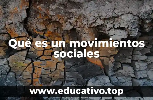 La importancia de los movimientos sociales en la democracia