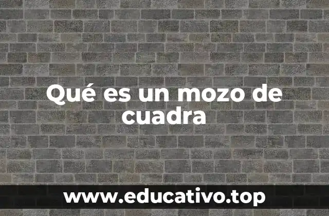 Qué es un mozo de cuadra