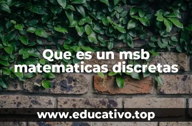 Que es un msb matematicas discretas