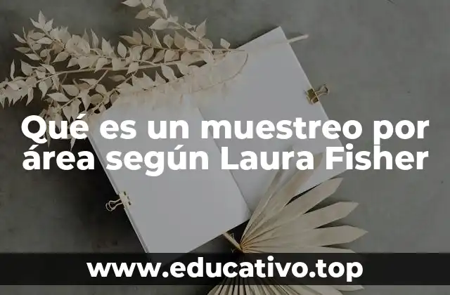 Qué es un muestreo por área según Laura Fisher