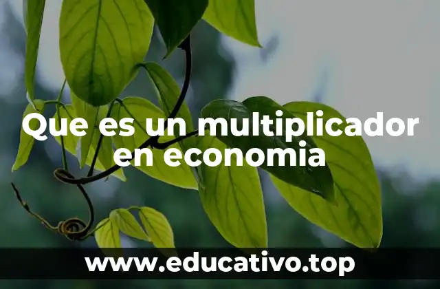 Que es un multiplicador en economia