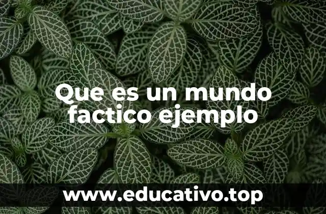 Que es un mundo factico ejemplo