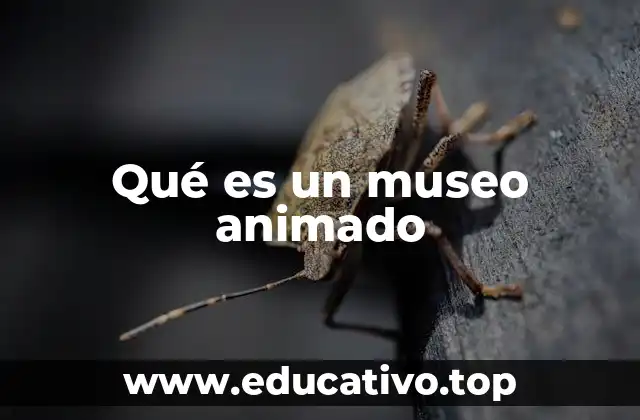 Qué es un museo animado