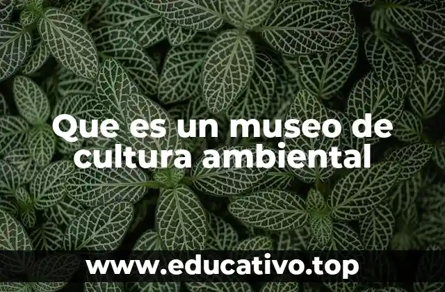 Que es un museo de cultura ambiental