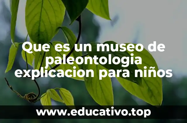 Que es un museo de paleontologia explicacion para niños