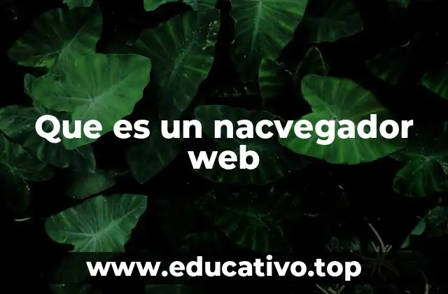Que es un nacvegador web