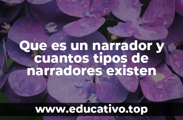 Que es un narrador y cuantos tipos de narradores existen