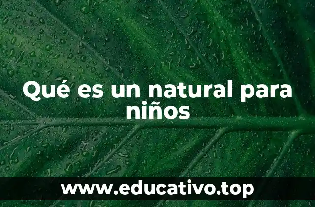 La importancia de los alimentos no procesados en la dieta infantil