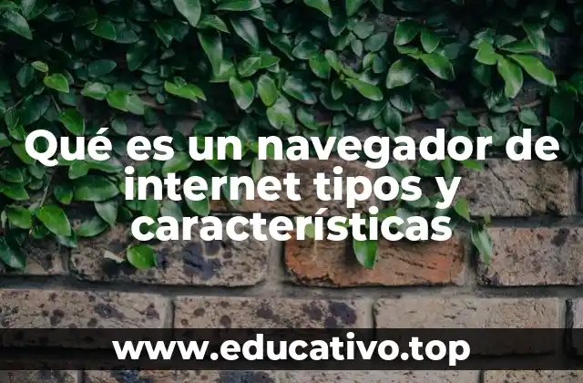 Qué es un navegador de internet tipos y características