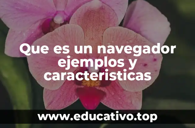Que es un navegador ejemplos y caracteristicas