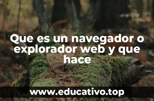 Que es un navegador o explorador web y que hace