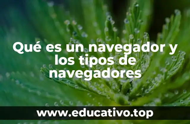 Qué es un navegador y los tipos de navegadores