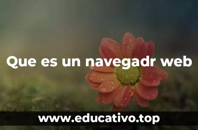 Que es un navegadr web